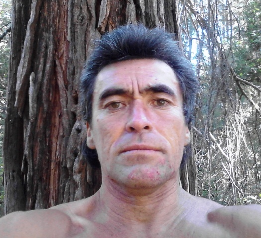 David Nollmeyer, McCloud CA