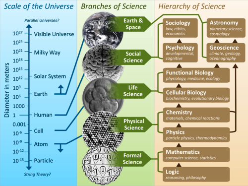 hierarchy of science
