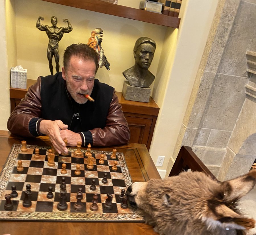 Arnold Plays Chess With Lulu
