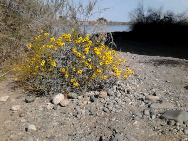 Colorado River March, 2012