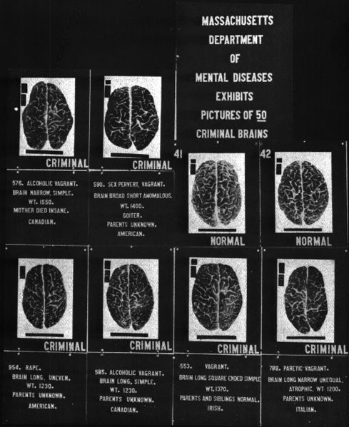 Criminal Brains