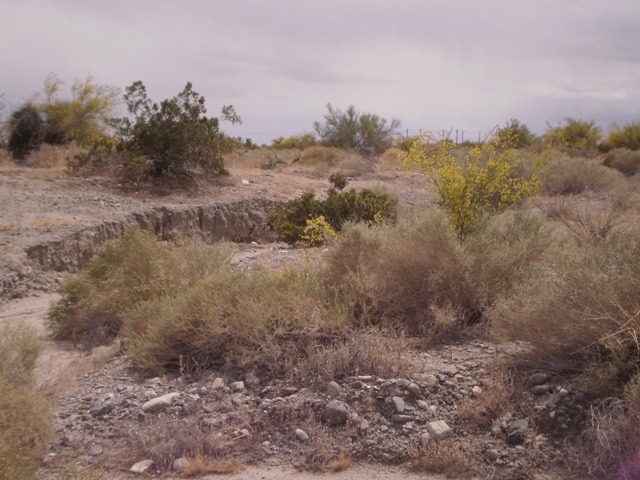 Salton Sea, Desert Shores CA