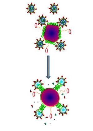 nanoparticles attack HIV