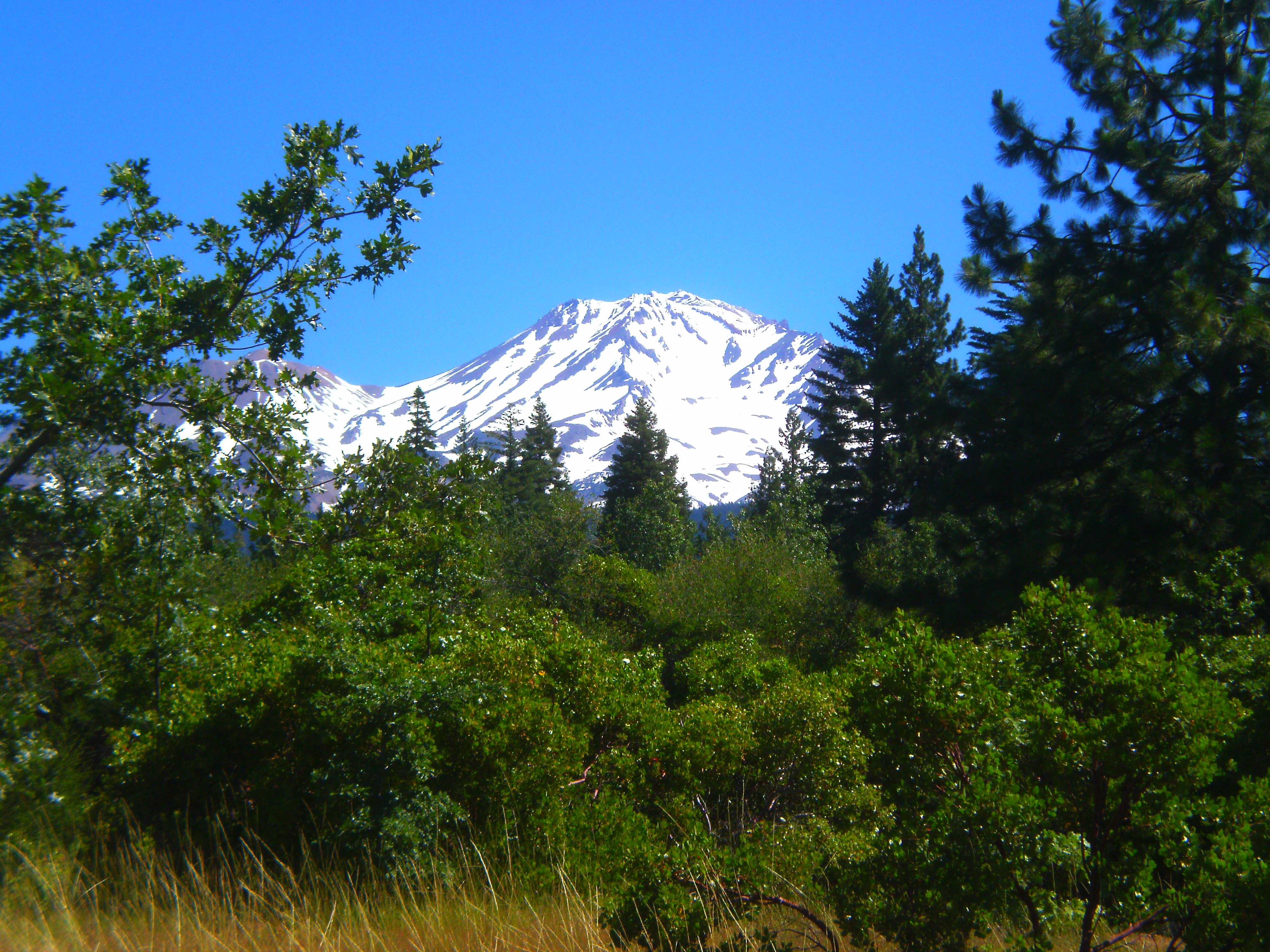 Mt. Shasta