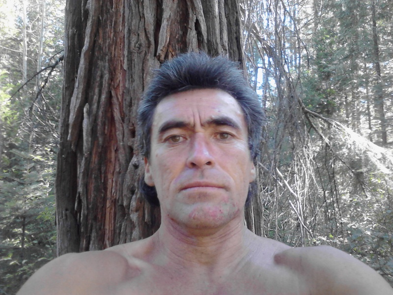 David 51 McCloud CA