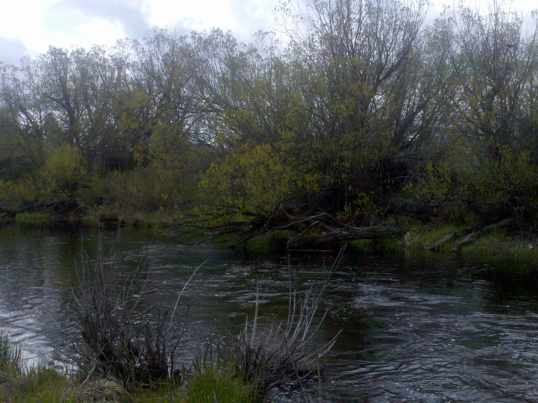 Robber's Creek, Lassen County